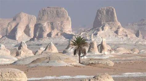  “The Oasis of Despair”: Un viaggio nella solitudine del deserto egizio!